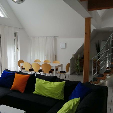 Ferienimspessart OG Apartman Bad Soden-Salmünster Kültér fotó