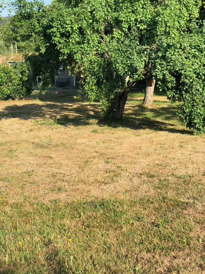 Ferienimspessart OG Apartman Bad Soden-Salmünster Kültér fotó