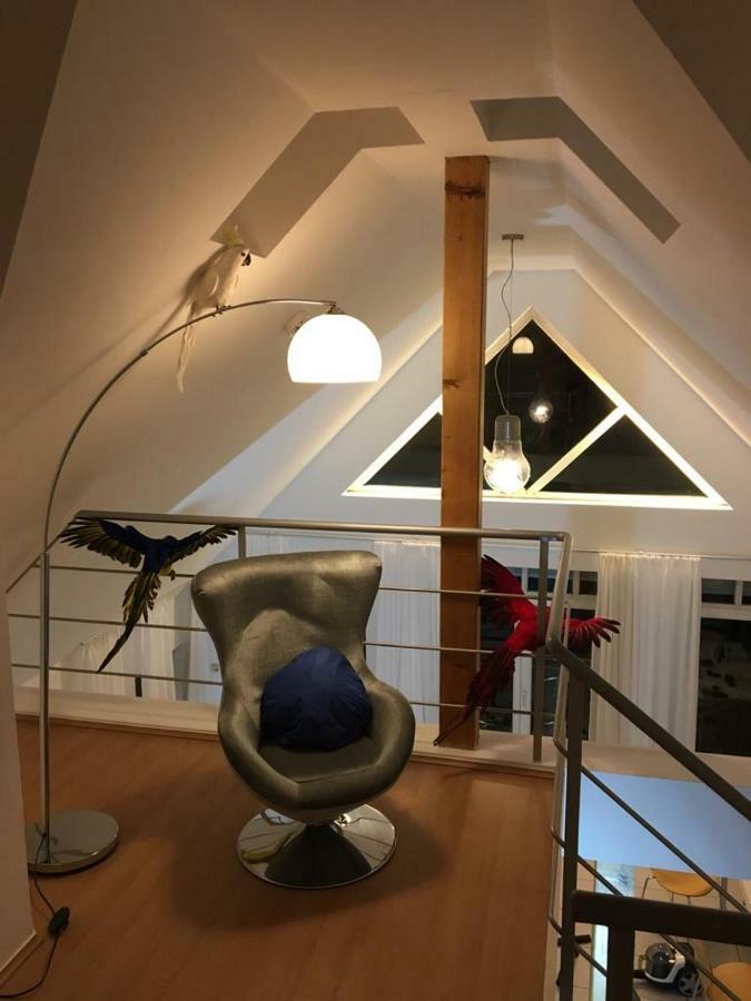 Ferienimspessart OG Apartman Bad Soden-Salmünster Kültér fotó